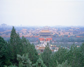 Palace Museum (Beijing)