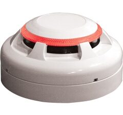 EV-DP