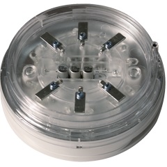 Detectors & Bases