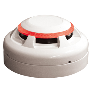 Detectors & Bases