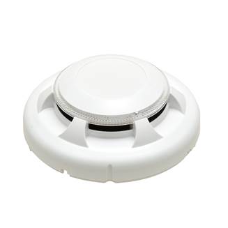 Detectors & Bases
